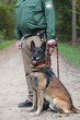 Polizei Hund