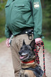 Polizei Hund
