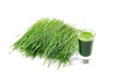 Shot glass of wheatgrass