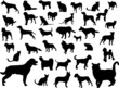 dogs and cats silhouette collection - vector dogs and cats silhouette collection - vector