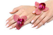 Beautiful hand with perfect nail pink manicure and purple orchid