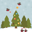 christmas robins christmas robins