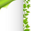 Green Leaves And Paper Green Leaves And Paper