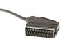 SCART Stecker