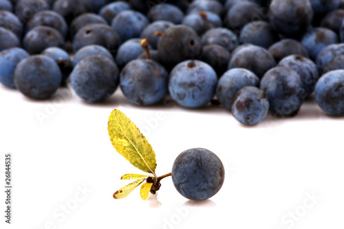 Photo: Blueberries Blueberries