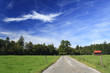 road in a meadow