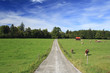 road in a meadow