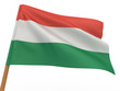 Flag of hungary