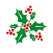 Holly