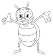 Outlined beetle