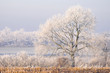 Winterlandschaft