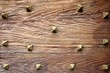 Medieval Wooden Door Medieval Wooden Door