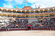 Flagrant colours of the bullring at the Ventas