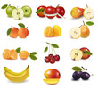 Group with different sorts of fruit. Vector.