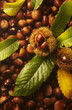 castagne con foglie