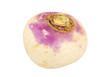 swede Swedish turnip