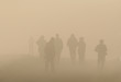 silhouettes in fog