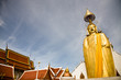 Standing Buddha, Bangkok