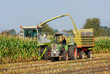 Foto: Maisernte 017 Maisernte 017