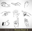 Vector set: Human Hand 2