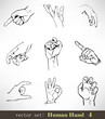 Vector set: Human Hand 4