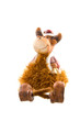 rudolph the red nose reindeer