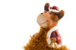 rudolph the red nose reindeer