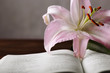 Photo: Easter lily and bible Easter lily and bible
