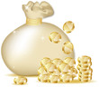 Gold bag with coins