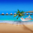 Photo en ligne au meilleur prix Tropical Beach Resort