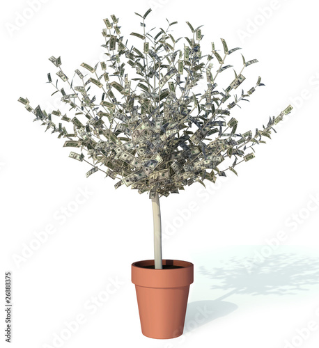 Illustration: moneytree growing 10 dollar bills as leaves moneytree growing 10 dollar bills as leaves
