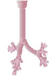 Vector human body a trachea
