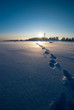 Winterlandschaft