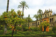 Alcazar of Seville Alcazar of Seville