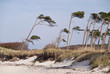 Darßer Weststrand