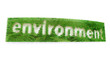 firn text environment