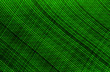 Green squares