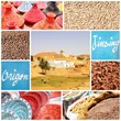 Tunisie - Matmata
