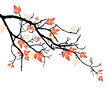 herbstlicher Zweig