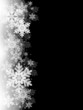 雪の結晶