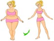 Fat and thin woman (before and after fitness).