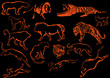 orange predator silhouettes orange predator silhouettes