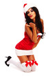 Christmas Beauty