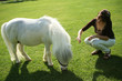 Photo: an image of a single white pony with woman an image of a single white pony with woman