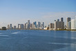 Miami Skyline