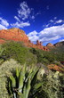 Red Rock