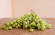 Grapes.Grapevine on a wooden structure Grapes.Grapevine on a wooden structure