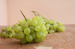 Grapes.Grapevine on a wooden structure Grapes.Grapevine on a wooden structure