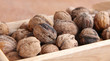 Macro view of walnut on the wood structure Macro view of walnut on the wood structure