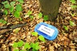 geocaching